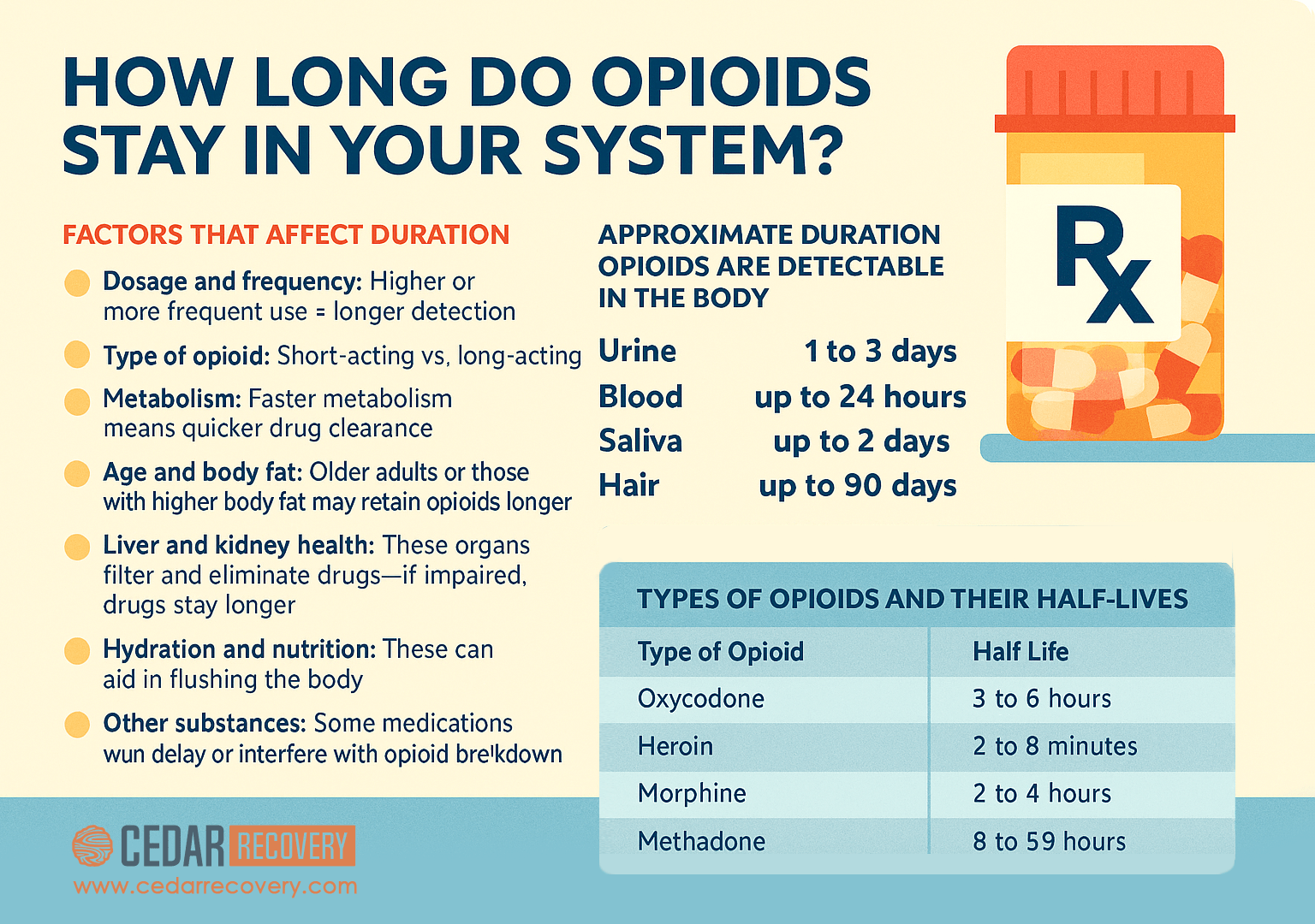 How Long Do Opioids Stay in Your System infographic